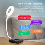Multipurpose USB Voice Control light